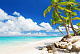 Aeroflot has opened sale of air tickets to Punta Cana